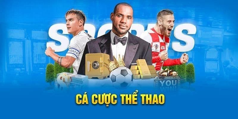 thể thao 8xbet Lưu ý khi tham gia thể thao 8xbet